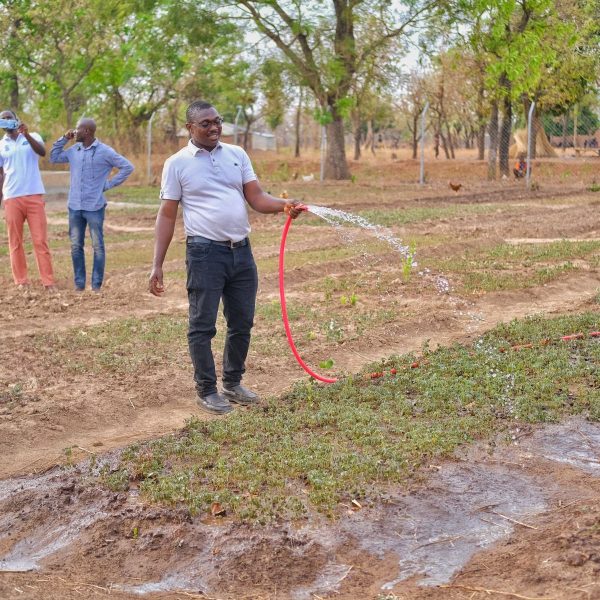 Watering seedlings during an environmental field activity