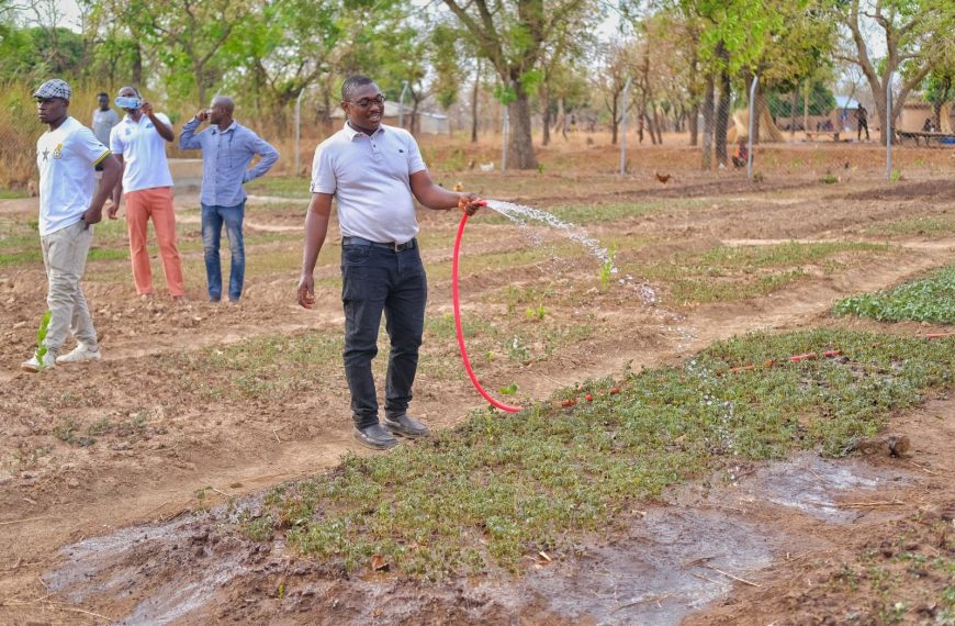 Watering seedlings during an environmental field activity