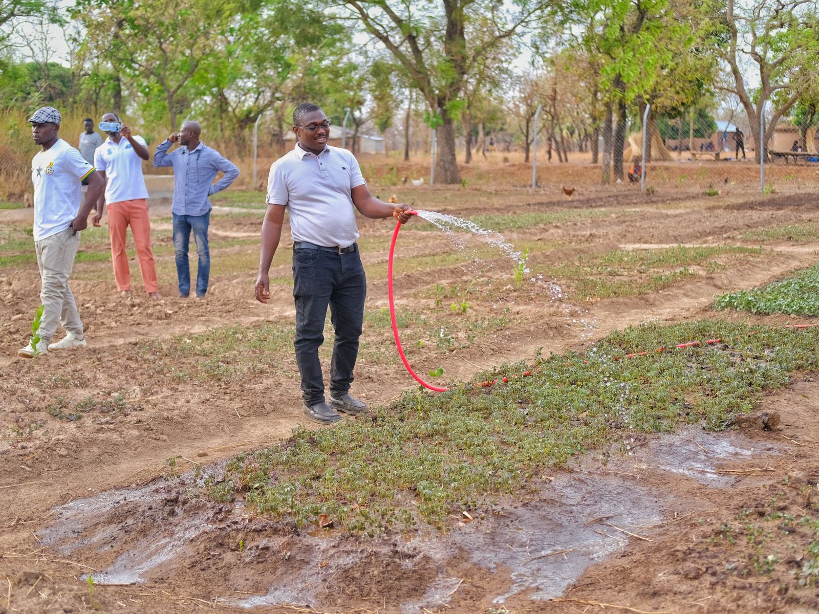 Watering seedlings during an environmental field activity
